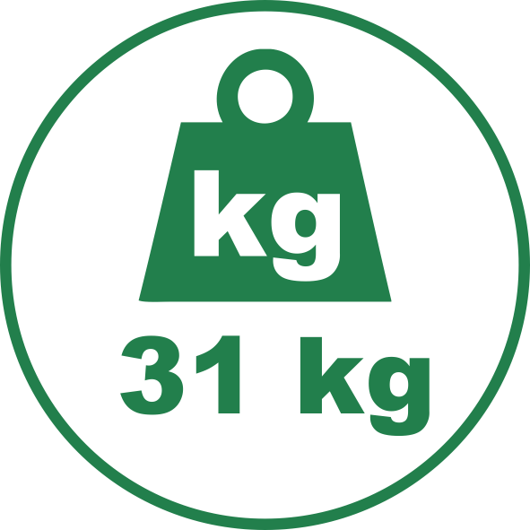 31kg 31kg
